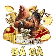Banner khuyến mãi cá cược bóng đá nohu 88 win