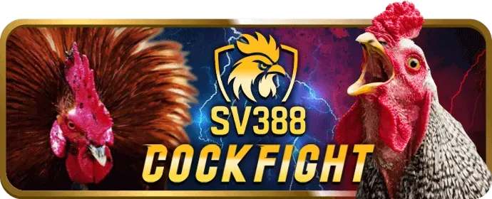 Giao diện đá gà trực tuyến nohu 88 win